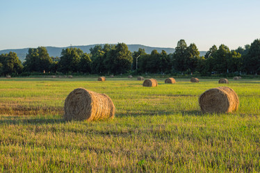 Similar image 21435019