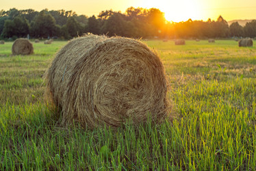 Similar image 21436063