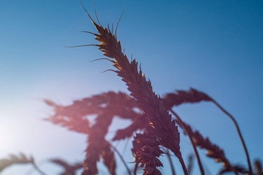 Similar image 21436064