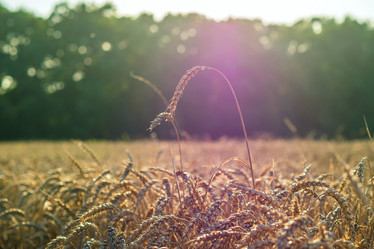 Similar image 21436066