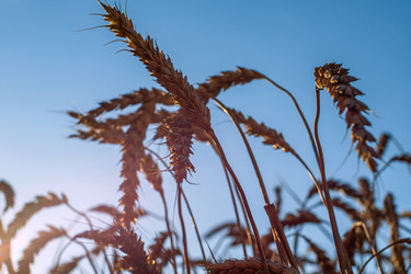 Similar image 21435020