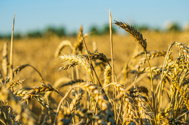 Similar image 21436068