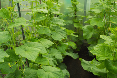 Similar image 21435022