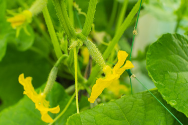 Similar image 21435024