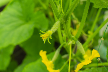 Similar image 21436070