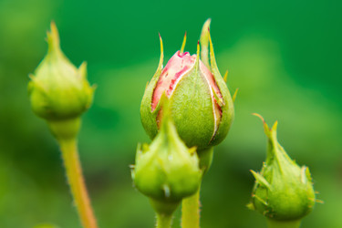 Similar image 21435026