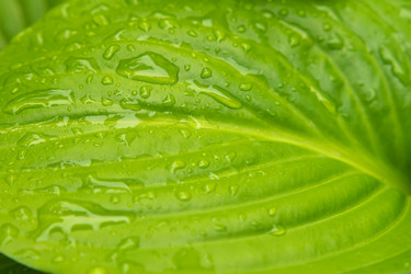 Similar image 21435027