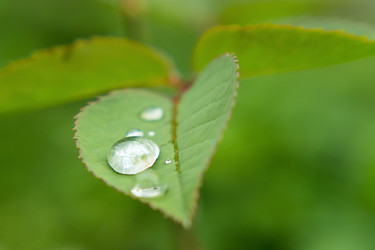 Similar image 21434838