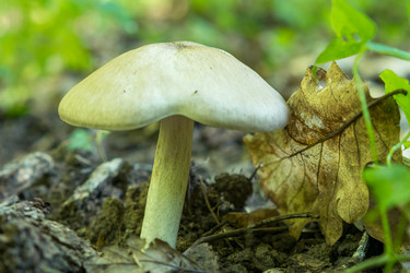 Similar image 21434844