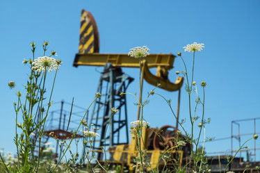 Similar image 21436073