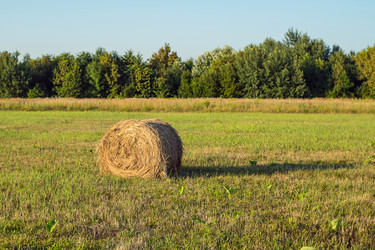 Similar image 21449813