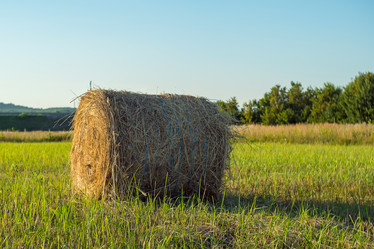 Similar image 21434847