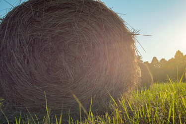 Similar image 21436076