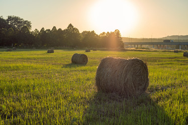 Similar image 21434849