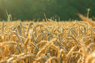 Similar image 21434851