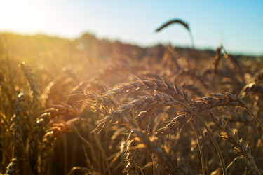 Similar image 21434369