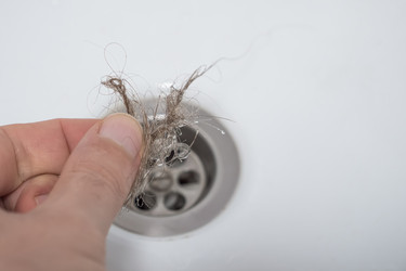 Similar image 21434854