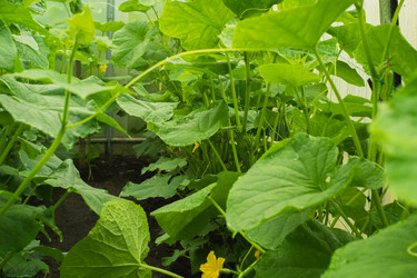 Similar image 21436082