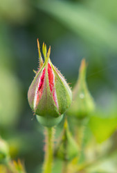 Similar image 21434861