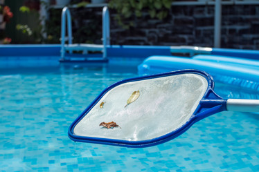 Similar image 21434867