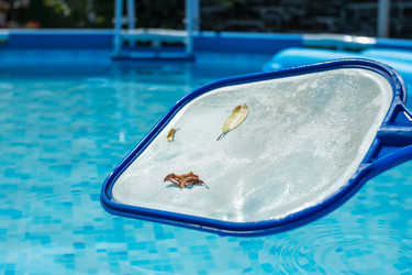 Similar image 21434390