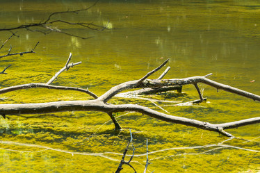 Similar image 21434391