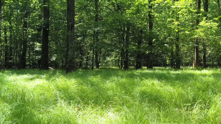 Similar image 21449416