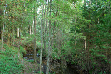 Similar image 21433940