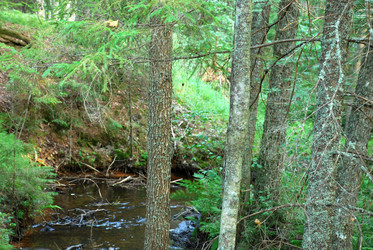 Similar image 21433944