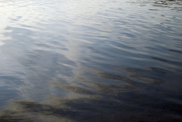 Similar image 21433947