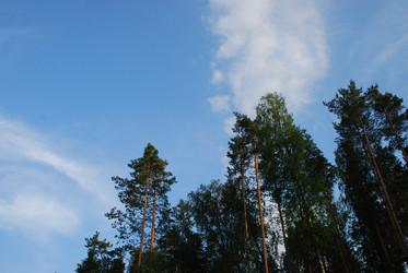 Similar image 21433949