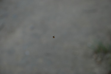 Similar image 21433958