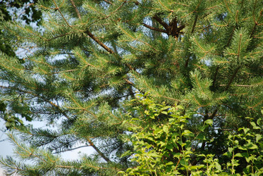 Similar image 21433959