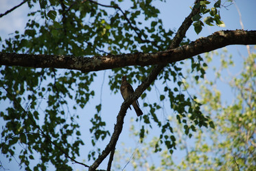 Similar image 21433960