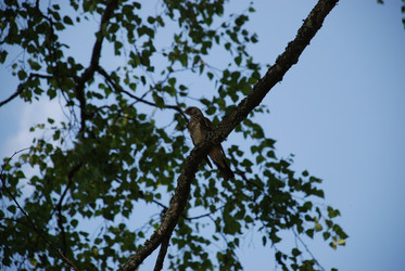 Similar image 21433962