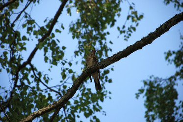 Similar image 21433963