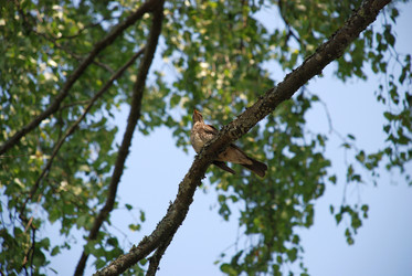 Similar image 21433964