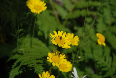 Similar image 21433966