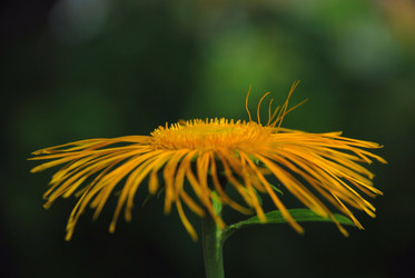 Similar image 21433968