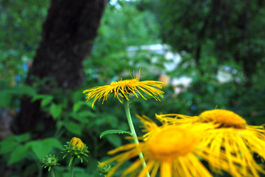 Similar image 21433971