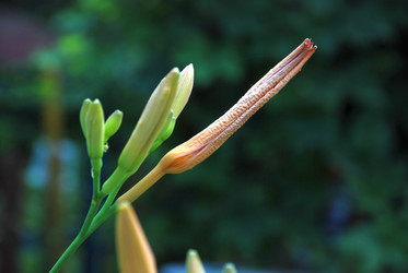 Similar image 21433972