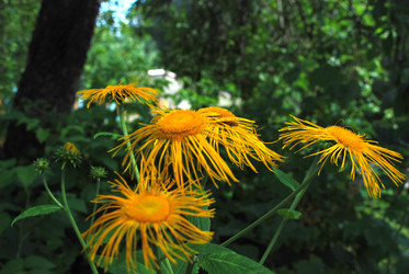 Similar image 21433973