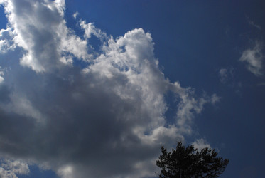 Similar image 21433974