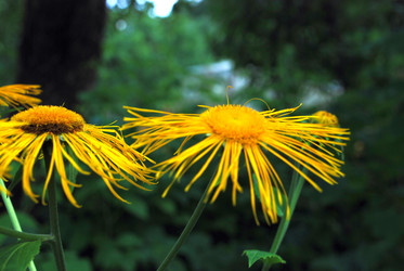 Similar image 21433978