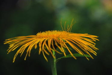 Similar image 21433979