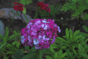 Similar image 21433981