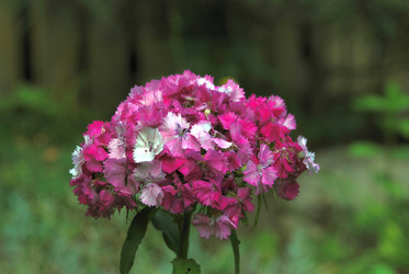 Similar image 21433982