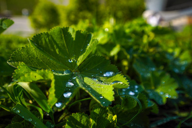 Similar image 21433812