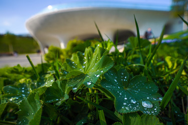 Similar image 21433813