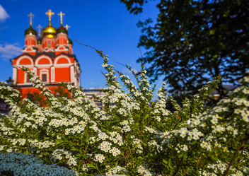 Similar image 21433816